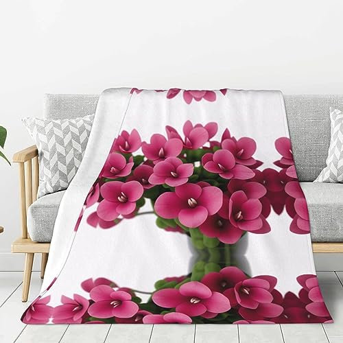 Rote Alpenveilchen bedruckte Mikrofaser-Decke, Sofa-Überwurf, Flanell, flauschig, weich, warm, Überwurf, Decken für Bett, Couch, Reisen, 203 x 152 cm