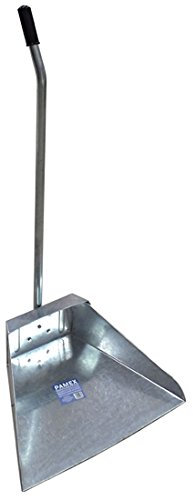 Recogedor galvanizado con palo