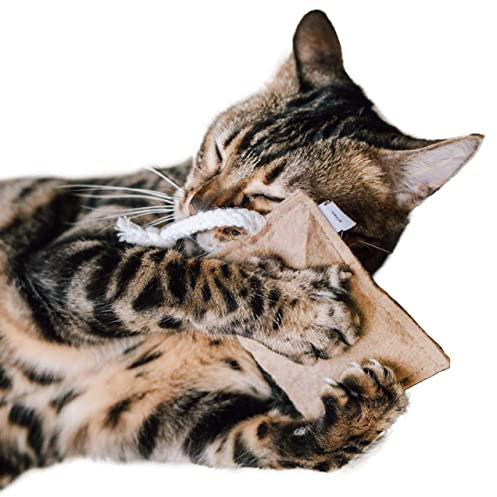 CanadianCat Company | nachhaltiges Katzenspielzeug Schmusekissen mit Seil mit 5g Baldrian Premium Füllung | Faire Handarbeit für Deine Katze | Knuddelkissen für Katzen