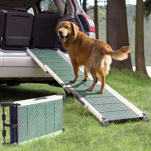 Rampa per Cani per Auto, SUV – STABILI – ANTISCIVOLO – Capacità 90 kg. – Rampe Estensibili per Cani di Grossa Taglia – Lati Riflettenti – Scale per Cani Leggere – Clip di Bloccaggio – Verde