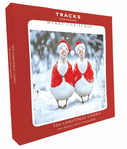 Pack of 10 Festive Charity Christmas & Happy New Year Cards with Envelopes - 14x14cm - Eco-Friendly & Recyclable (Dressed Santa Geese)