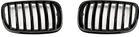 LST Frontziergitter Nieren Einsteg Performance Schwarz kompatibel mit BMW X5 E70 X6 E71 E72