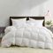 Sleep2Care 4-Jahreszeiten Bettdecke 200x220 | Ganzjahresdecke für Entspannung & Tiefen Schlaf | Öko-Tex |100% Daunen & Federn, 1650 gr. Füllung 375 GSM | Ideal Weiße Duvet für Winter & Sommer