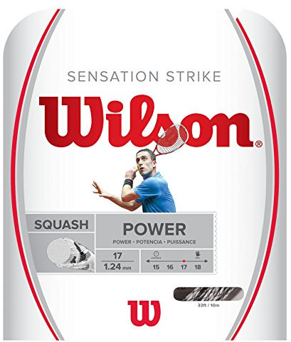 Wilson Unisex – Erwachsene Sensation Strike 17 Badminton String, White/Grey, One Size
