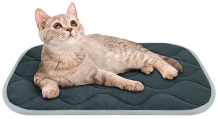 furrybaby Dog Bed Mat Flat Crate Mat with Anti-Slip Bottom Machine Washable Pet Kennel Pad for Dog Sleeping (XS 22x13'', Grey Mat)