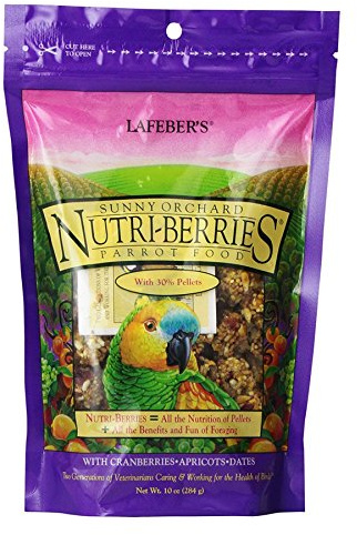LAFEBER'S Sunny Orchard Nutri-Berries alimento para pájaros para Mascotas, Hecho con Ingredientes sin OMG y de Grado Humano, para Loros, 10 onzas