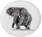 Maxwell & Williams DX0526 Teller African Elephant Motiv – Schwarz-weiß – 20 cm Durchmesser – Keramik – in Geschenkbox