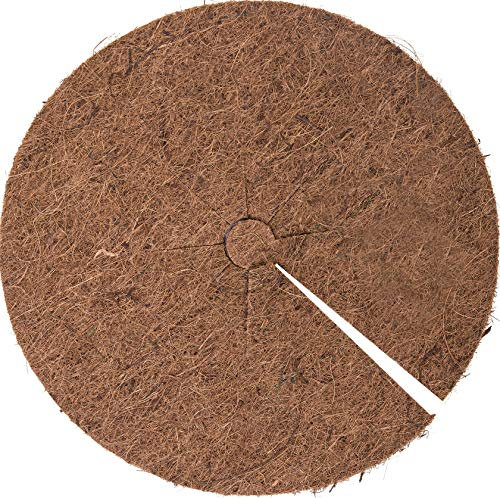 Meister Kokosscheibe Ø 40 cm - Natürlich isolierend - Mehrfach verwendbar & 100% biologisch abbaubar - Idealer Frostschutz von Kübelpflanzen / Kokos-Mulchscheibe / Kokosmatte / Frostschutz / FLOR80278