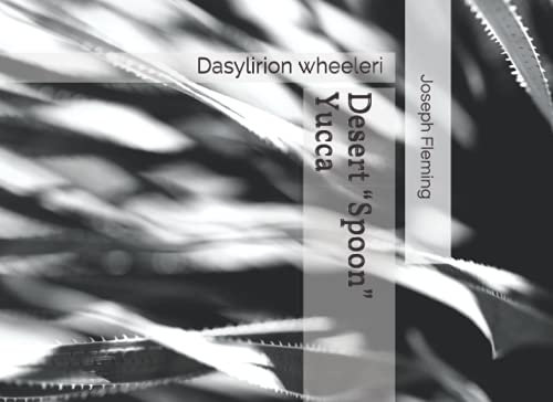 Desert “Spoon” Yucca: Dasylirion wheeleri