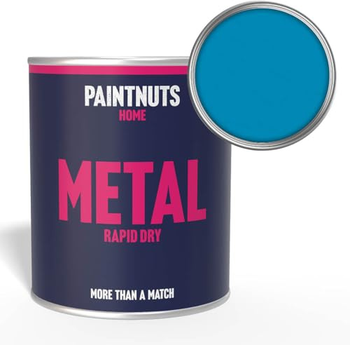 Paintnuts Light Blue (RAL-5012) Rapid Dry Metal Paint, Satin Finish 250ml