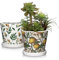 Oairse 2 Stück Blumentopf Keramik Pflanztöpfe Runde Sukkulentententöpfe mit Drainagelöchern und Untersetzern Kleiner Keramik-Pflanztopf für Sukkulenten Kaktus Indoor Outdoor Garten Home Fensterbank
