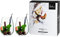 Eisch 500/9 Sensis Plus Stielloses Glasset aus brillantem Kristallglas, in elegantem Design, Set aus 2 Gläsern, Geschenk für Weihnachten oder Geburtstag (6 x 550ml Volumen)