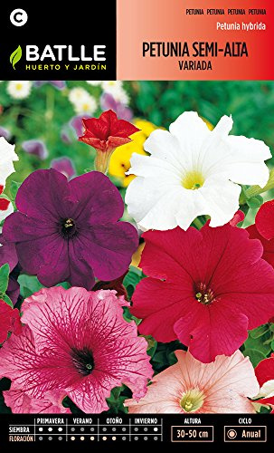 Semillas Batlle 096006BOLS - Petunia Semi Alta variada
