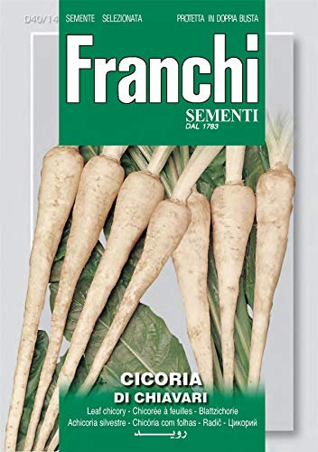 Franchi Seeds of Italy - Root Chicory - Di Chiavari - Seeds