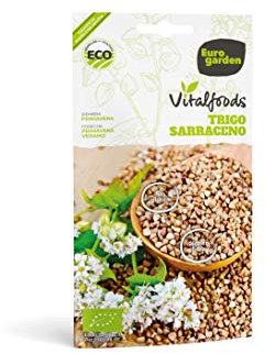 Eurogarden Vitalfood Graines de culture Graines saines et naturelles. (TRIGO SARRACENO VITALFOODS)