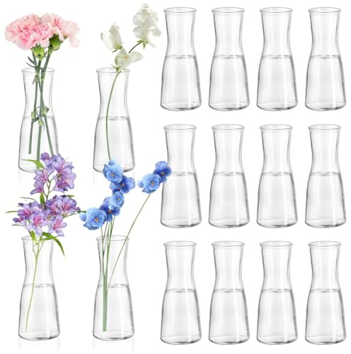 Små glasvaser för bordsdekoration, mini klar blomvas liten 12 stycken blomvaser modern, minimalistisk blomvas glas vas set för bröllop födelsedagsfest matbord bordsskiva dekoration