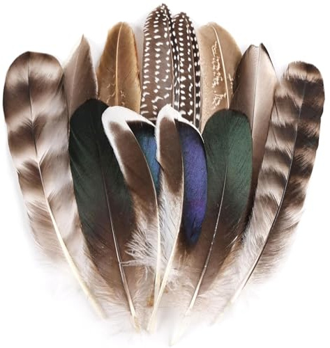 Muorruo 12 Piezas de Plumas de faisán Natural, Plumas en 6 diseños Diferentes para Manualidades como Sombreros, arreglos Florales, Halloween, Carnaval, atrapasueños y Decoraciones