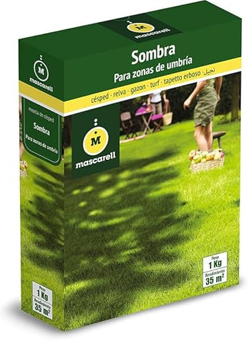 Mascarell Semillas, SOMBRA, Semillas de Césped, Verde y Duradero, Compacto y Resistente, 1KG