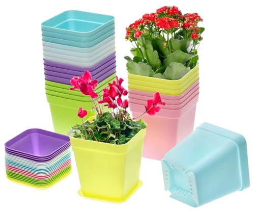 QWORK® 24 pezzi di vasi quadrati in plastica colorata con vassoi, vasi per piantine da 7 cm per piante grasse, cactus, erbe aromatiche e verdure