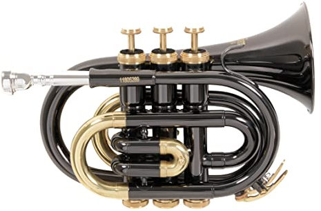 Roy Benson Bb-Taschentrompete PT-101K (Präzise gefertigtes Messingschallstück, goldmessing Mundrohr, premium-Taschentrompete, inkl. schützendem Rechtecketui, mit Rucksackfunktion), Anthrazit