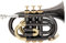 Roy Benson Bb-Taschentrompete PT-101K (Präzise gefertigtes Messingschallstück, goldmessing Mundrohr, premium-Taschentrompete, inkl. schützendem Rechtecketui, mit Rucksackfunktion), Anthrazit