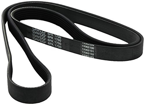 Dayco 6PK1700 Correa Trapecial Poli V