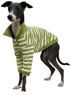 Italiensk vinthund pikétröja vår/höst/vinter grön vit randig whippet hundkläder 2 ben långa ärmar bedlingtonterrier pyjamas(1 UK)