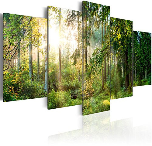 B&D XXL - Wandbilder XXL 200x100 cm Vlies Leinwandbild 5 tlg Kunstdruck modern Wandbilder XXL Wohnzimmer Leinwand Moderne Wanddekoration Design Wand Bild - Landschaft Wald Natur Bäume c-C-0033-b-n
