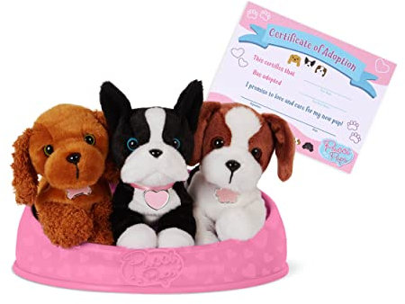 Pucci Pups - Adopt-A-Pup - Plüsch Hund - Welpe Spielset - Ausgestopfte Tiere - Hundespielzeug mit Korb - 2 Jahre +