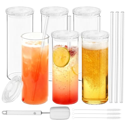16oz Highball glasögon uppsättning av 6 med locken, tjockt labb-klass borosilikatglas, diskmaskin mikrovågsfrys säker, innehåller glas rengöringsborste, bly-fri för iskaffe, juice, whisky, cocktails