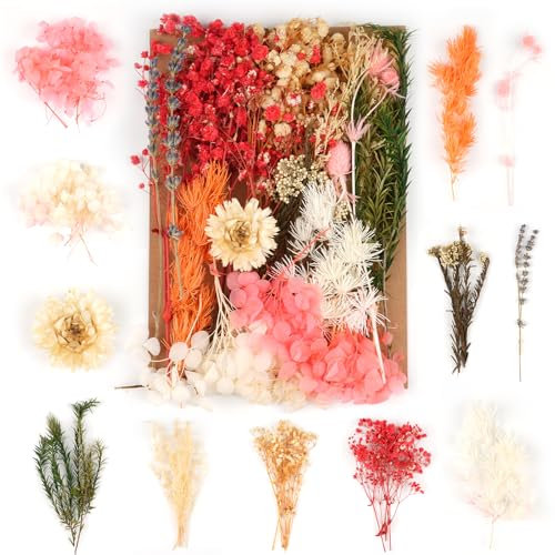 Trockenblumen,Natürliche Gemischte Getrocknete Blumen,Trockenblumen Zum Basteln,Trockenblumen Klein für DIY Epoxidharz Scrapbook Zubehör Handwerk Karten Machen (Orange)