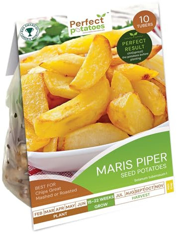 Maris Piper Seed Potatoes for Gardeners | 10 Premium Tubers for Home-Grown Delicious Chips, Mashed Potatoes, and Roasts | Easy to Grow, Great Yield - For Your Vegetable Garden