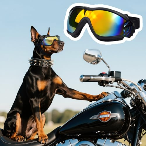 Gafas de Sol para Perros Dwafill, Gafas Perro Protección UV, Gafas de Sol para Perro Correa Ajustable, para Perros medianos y Grandes (Black Red)