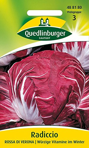 Salatsamen - Radicchio Rossa di Verona von Quedlinburger Saatgut