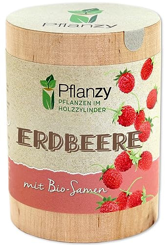 Feel Green Pflanzy Erdbeere, Bio Samen, Nachhaltige Geschenkidee (100% Eco Friendly), Grow Your Own/Anzuchtset, Pflanzen im Holzzylinder, Made in Austria, Holz