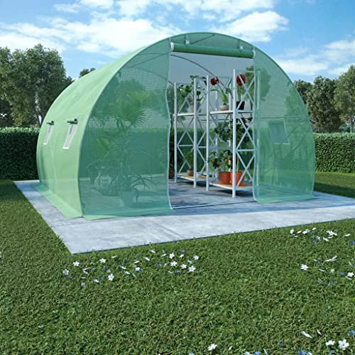 puraday Invernadero en el jardín, verde, 9 m², 3 x 3 x 2 m, protección contra heladas, plantas, protección de invierno, casa de verduras, invernadero, invernadero, tomates, con 4 ventanas laterales y
