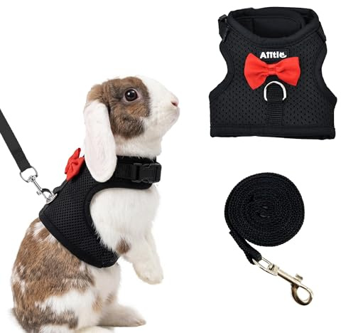 AIITLE Ensemble harnais et laisse avec nœud mignon, harnais en maille douce et respirante pour lapins, chatons, furets, petits cochons, chiots - Noir - Taille M
