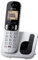 Panasonic KX-TGC250 Teléfono Inalámbrico Digital para Personas Mayores con Bloqueo De Llamadas No Deseadas, Pantalla Fácil De Leer, Altavoz Manos Libres, Reloj Despertador, Auricular Único, Plateado