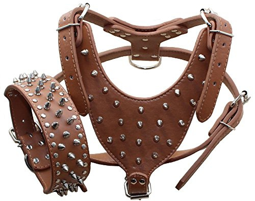 haoyueer Lot de 2 colliers pour chien en cuir clouté avec pointes et harnais assortis pour Pit Bull, Mastiff, Boxer, Bull Terrier (M, marron)