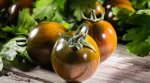 50 SEMI DI POMODORO CAMONE SARDO -
