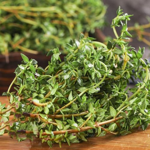 Semi di menta piperita resistenti per giardini rocciosi coltivazione di giardino balcone verdi menta rara 100pcs