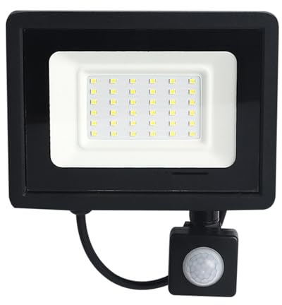 Flutljus, Styr utomhus säkerhetsbelysning LED-lampor for gårdar byggnader fabriker domstolar(White Light,30W)