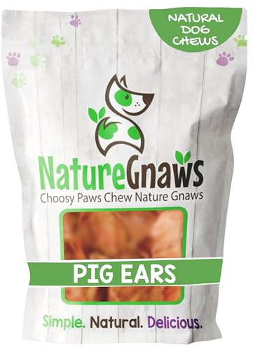 Nature Gnaws Pig Ears for Dogs (8 Count) - Thick Long Lasting for Aggressive Chewers and Large Dogs - Natural Pork Dog Chew Bones - Rawhide Free