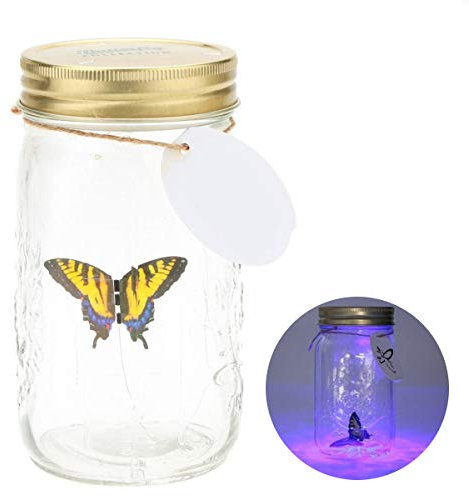 Xfaiz Glass Animated Butterfly Jar with LED Light Gift Decoration (Yellow)