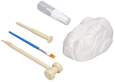 Kit de Creuser des fossiles à Faire soi-même, Jouet d'excavation, Conception du Colisée, Science éducative, archéologie, Aventure pour Enfants, d'anniversaire, de Noël, Marteau,