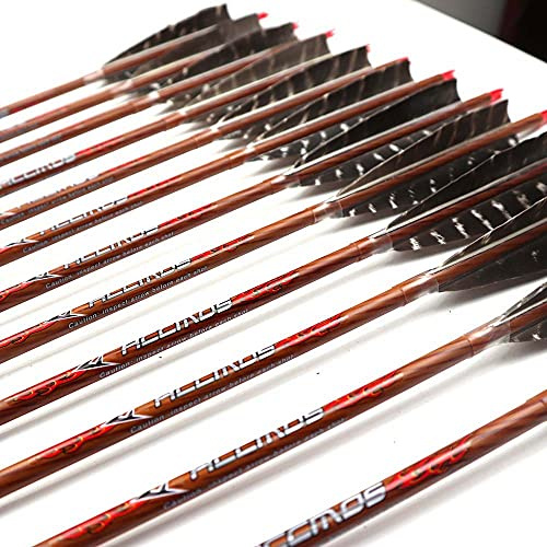 ACCMOS Spine 700 Flèche 28 Pouces Flèche Flèches Carbone Flèche Cible Flèche de Chasse Arc à Poulies Arc Recurve Adulte Jeunesse Tir à l’Arc Entraînement 12pcs comme Le Bois