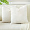 JOTOM 2er Set Cord Kissenbezüge Kissenhülle Dekorative Zierkissen Sofakissen Couchkissen Dekokissen Kissenbezug Deko Kissenhülle für Sofa Wohnzimmer 60x60cm Beige