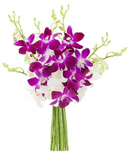 KaBloom PRIME NEXT DAY DELIVERY - Mother’s Day Collection - 10 Purple and 10 White Orchid Gift for Birthday, Sympathy, Anniversary, Get Well, Thank You, Valentine, Mother’s Day Flowers