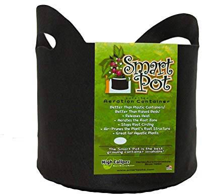 Smart Pots 10-Gallon Smart Pot Soft-Sided Container, Black with Cut Handles