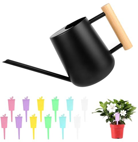 1L Gießkanne Zimmerpflanzen, Edelstahl Schwarz Gießkanne, kleinere Topfpflanzen Edelstahl, Giesskanne mit Langem Auslauf,Kleine Blumen Giesskanne Topfpflanzen für Wohnung Büro Sukkulenten Innen